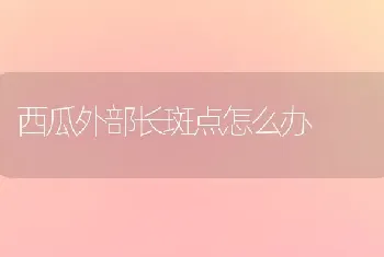 西瓜外部长斑点怎么办