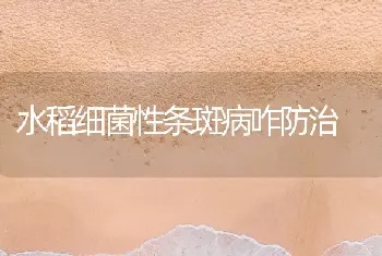 水稻细菌性条斑病咋防治