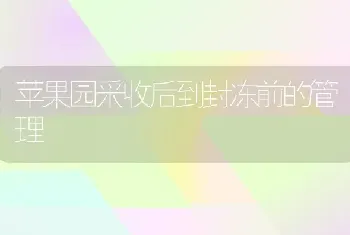 苹果园采收后到封冻前的管理