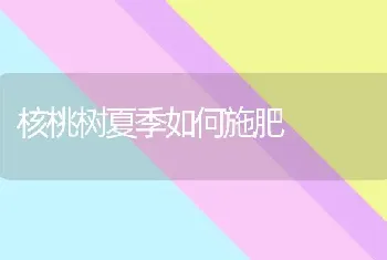 核桃树夏季如何施肥