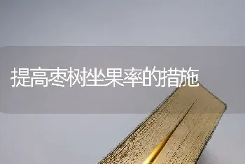 提高枣树坐果率的措施