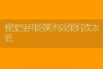 棚室使用烟雾剂效果好成本低