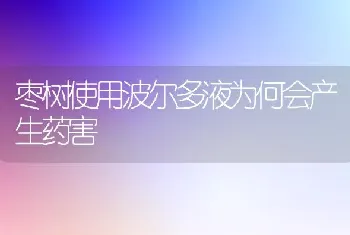 枣树使用波尔多液为何会产生药害