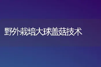 野外栽培大球盖菇技术