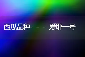 西瓜品种---爱耶一号