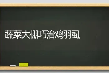 蔬菜大棚巧治鸡羽虱