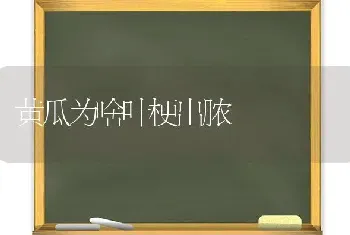 黄瓜为啥叶梗出脓