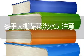 冬季大棚蔬菜浇水5注意