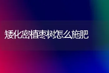 矮化密植枣树怎么施肥