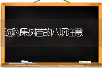 选购果树苗的八项注意