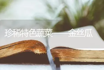 珍稀特色蔬菜——金丝瓜