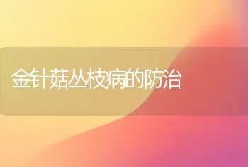 金针菇丛枝病的防治