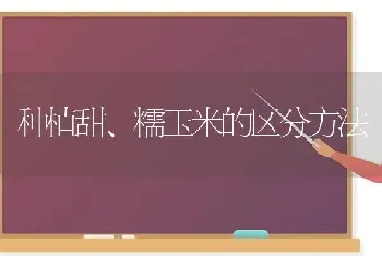 种植甜、糯玉米的区分方法