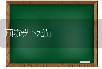 预防萝卜死苗