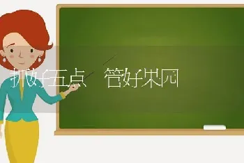 抓好五点 管好果园