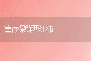 筐存保鲜西红柿