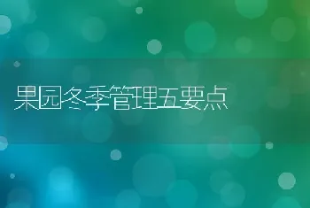 果园冬季管理五要点