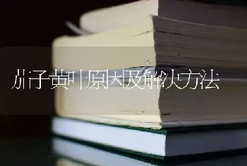 茄子黄叶原因及解决方法