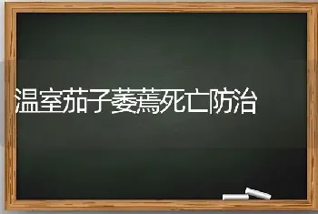 温室茄子萎蔫死亡防治