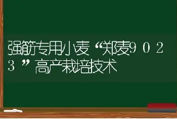 强筋专用小麦“郑麦9023”高产栽培技术