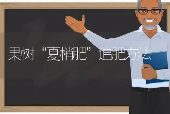 果树“夏梢肥”追肥方法