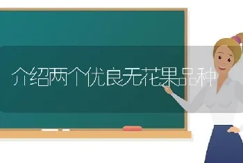 介绍两个优良无花果品种