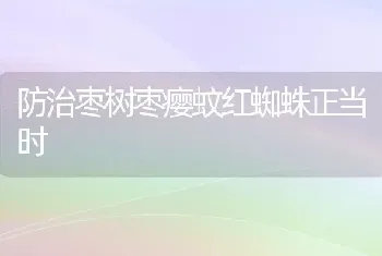 防治枣树枣瘿蚊红蜘蛛正当时