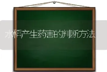 水稻产生药害的判断方法