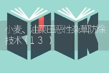 小麦、油菜田恶性杂草防除技术(13)