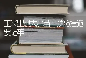 玉米出现大小苗 预防措施要记牢