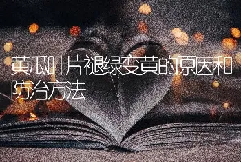 黄瓜叶片褪绿变黄的原因和防治方法