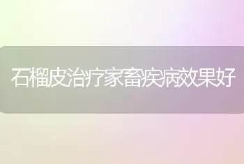 石榴皮治疗家畜疾病效果好