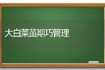 大白菜苗期巧管理