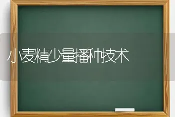 小麦精少量播种技术