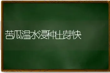 苦瓜温水浸种出芽快