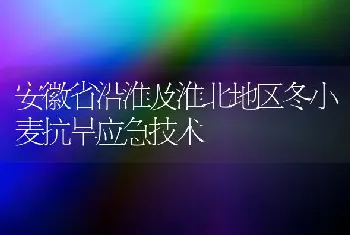 安徽省沿淮及淮北地区冬小麦抗旱应急技术