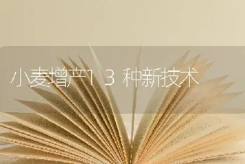 小麦增产13种新技术