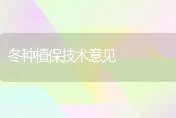 冬种植保技术意见