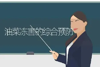 油菜冻害的综合预防