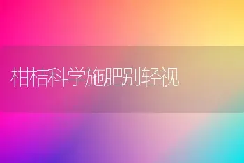 柑桔科学施肥别轻视