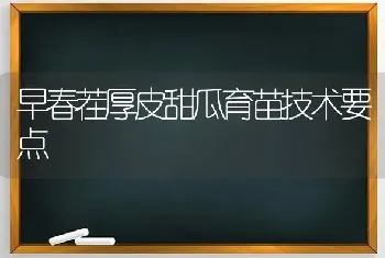 早春茬厚皮甜瓜育苗技术要点