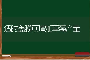 适时盖膜可增加草莓产量