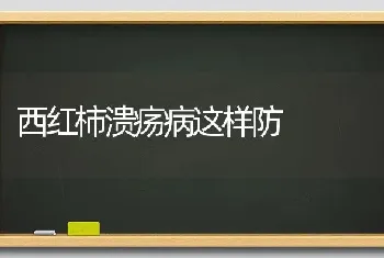 西红柿溃疡病这样防