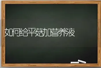 如何给平菇加营养液