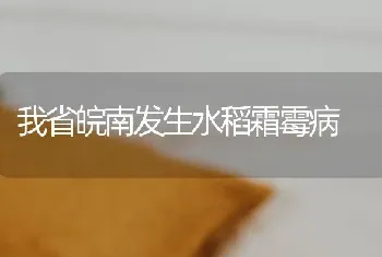 我省皖南发生水稻霜霉病