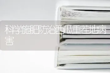 科学施肥防治西瓜重茬地病害