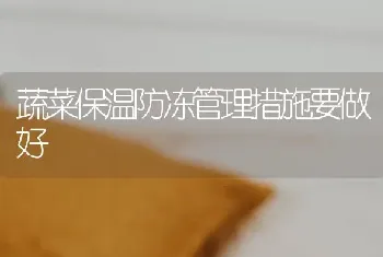 蔬菜保温防冻管理措施要做好