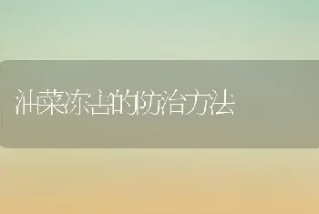 油菜冻害的防治方法