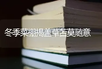 冬季菜棚揭盖草苫莫随意