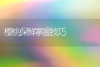 樱桃保鲜掌握技巧